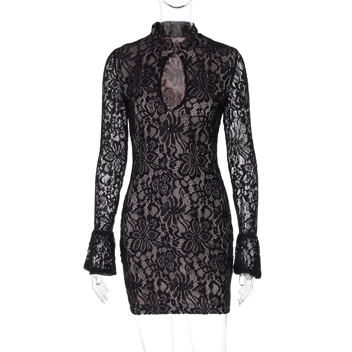 Elegant Sheer Lace Cutout Bodycon Dress