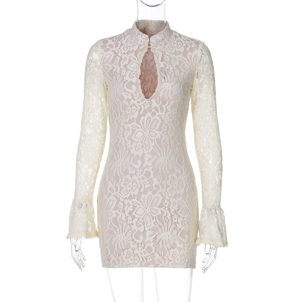 Elegant Sheer Lace Cutout Bodycon Dress
