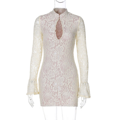 Elegant Sheer Lace Cutout Bodycon Dress