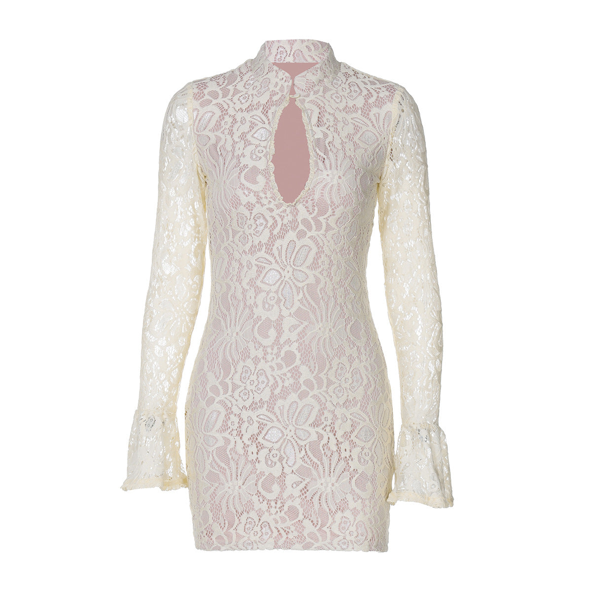 Elegant Sheer Lace Cutout Bodycon Dress