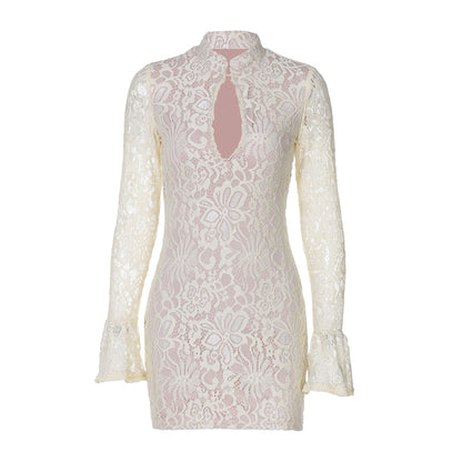Elegant Sheer Lace Cutout Bodycon Dress